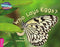 CRA - Who Lays Eggs? - Pink B Band