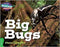 CRA - Big Bugs - Green Band