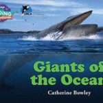 CRA - Giants of the Ocean - Gold Band