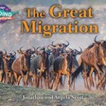 CRA - The Great Migration - White Band
