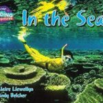 CRA - In the Sea - Red Band