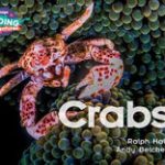 Crabs Blue Band